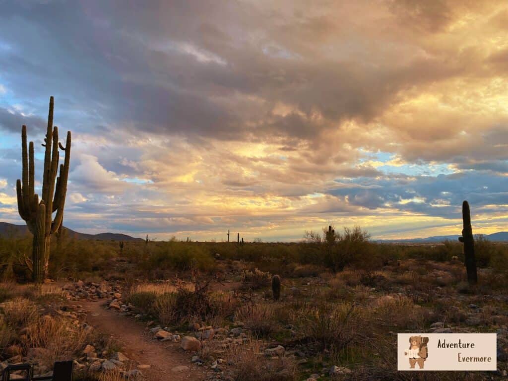 Mountain biking is a great outdoor activity to experience in Arizona but be careful of the dangerous terrain. 