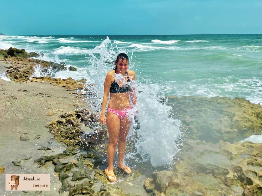Blowing Rocks Preserve is on the northernmost end of Palm Beach County and while it's free to visit, it can get crowded and parking is limited when it's high tide. 