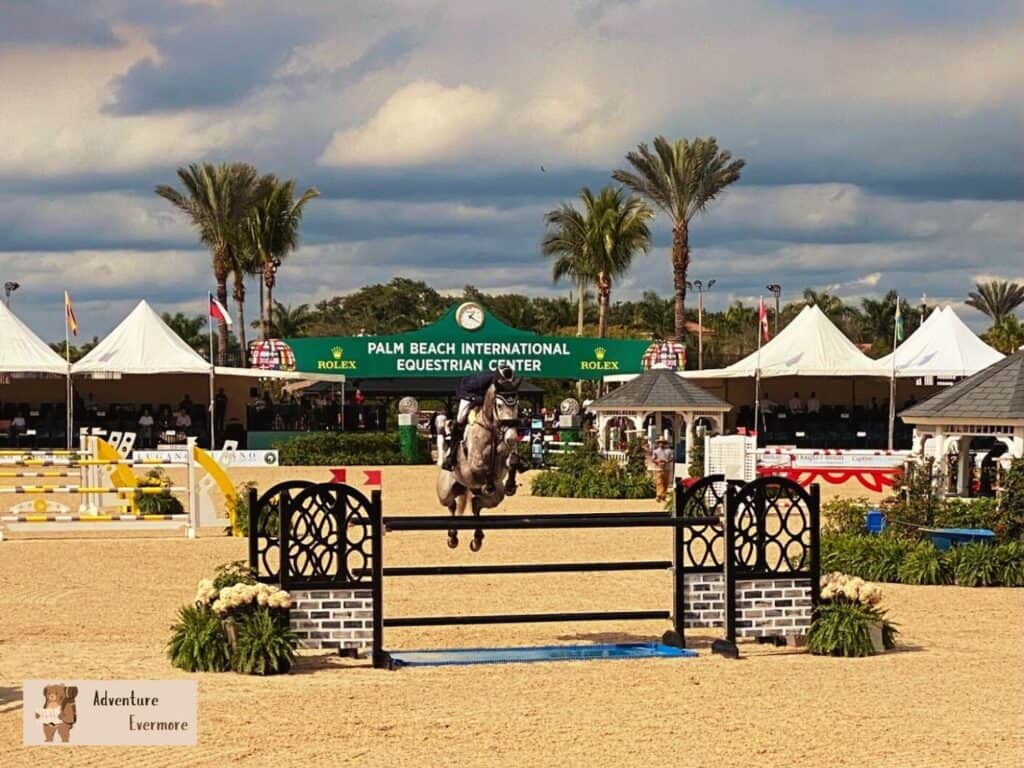 The Equestrian Festival is a great place for anyone that loves horses, plus its free. 