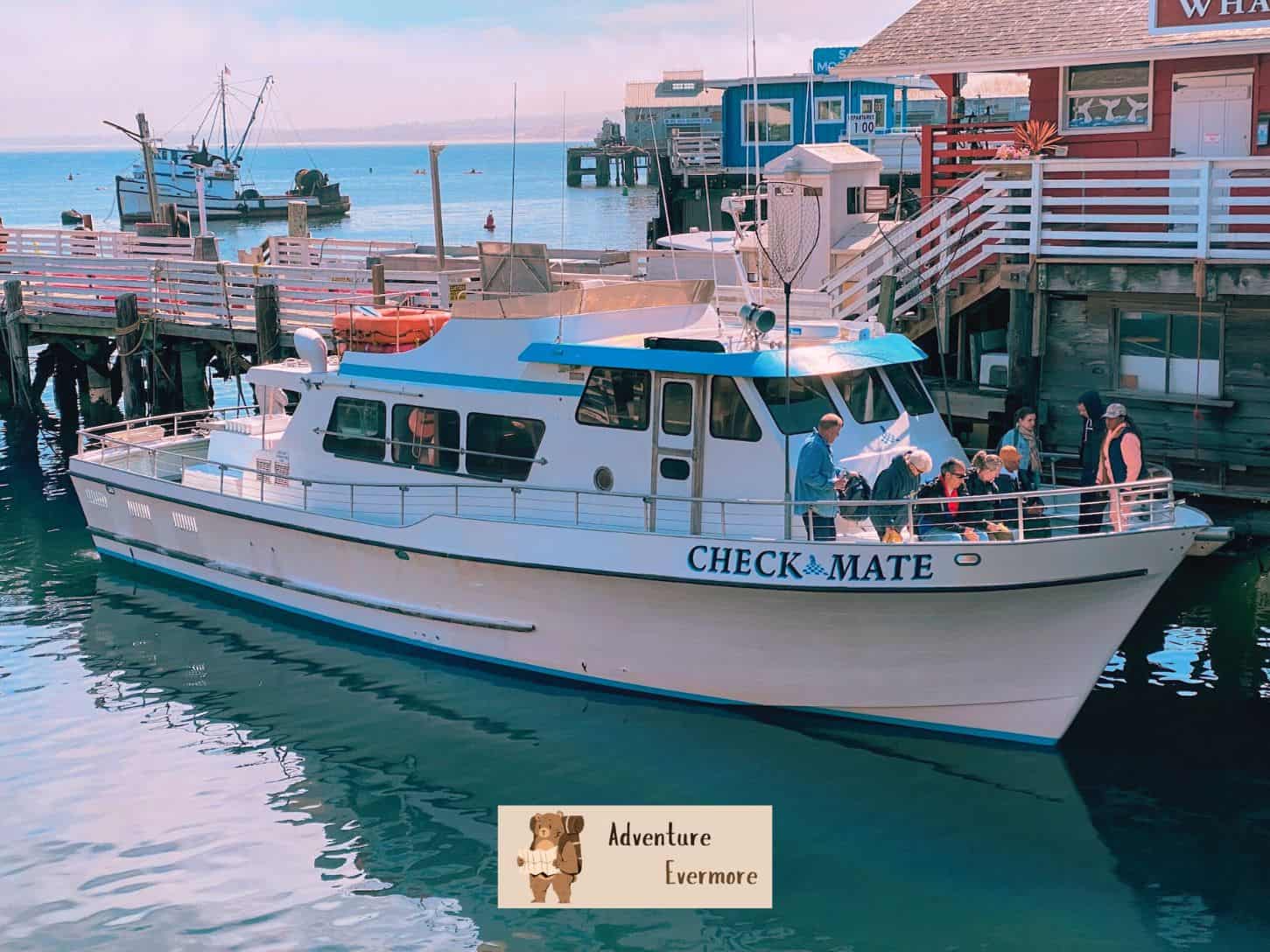 I went on the Chris whale watching tour in Monterey Bay, California and I thought it was mostly a great experience.