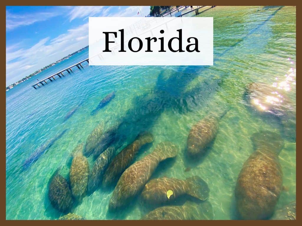 Adventures, exploration, and destinations in Florida. 