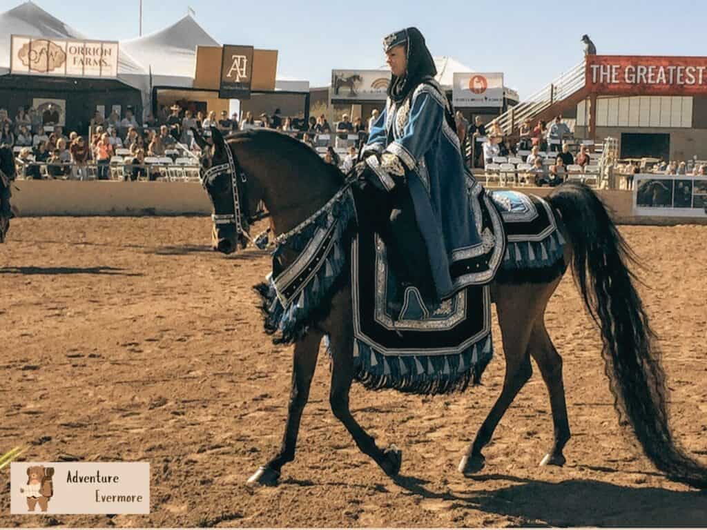 The Arabian Horse Show is a one of a kind experience that happens each year in north Scottsdale. 