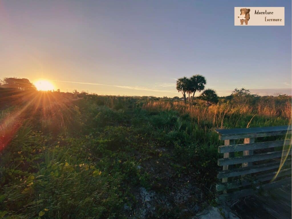Hiking isn't quite the same in South Florida but there are plenty of places to walk around in nature. 