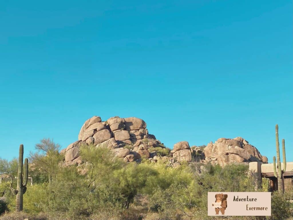 Arizona is full of rocky mountains, perfect for rock climbing. 