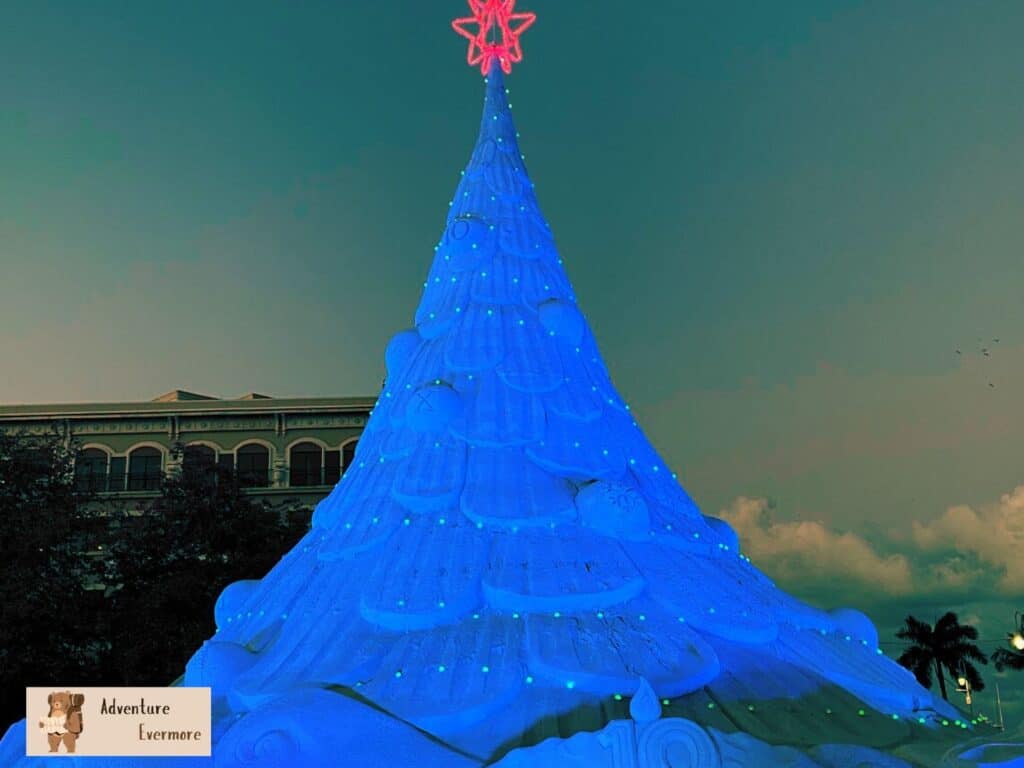 It might not snow in Florida, but Holidays are still very unique in this tropical destination. 