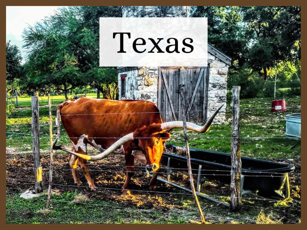 Adventures, exploration, and destinations in Texas. 