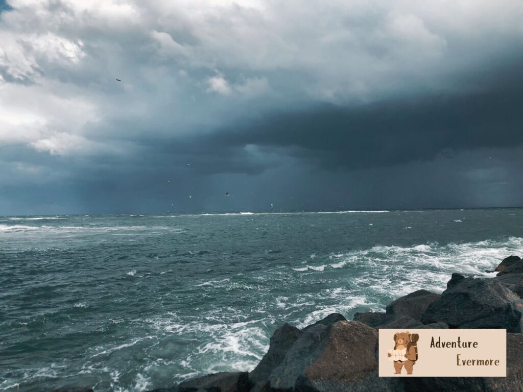 Storms churn the waters and sand, bringing up lots of teeth.