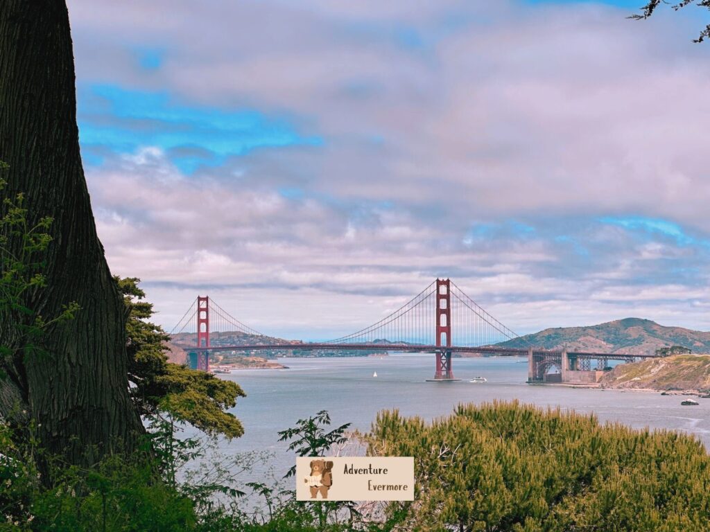 Small group tours are the best option for San Francisco because of the steep, narrow, and sometimes confusing streets. 