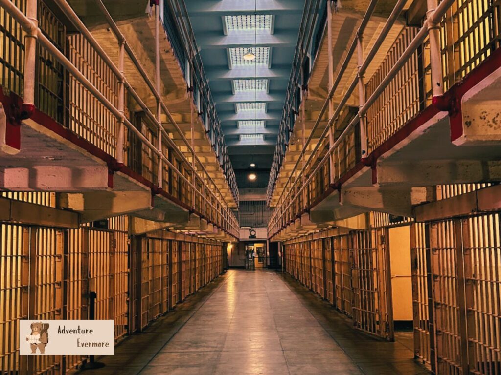 I personally think that the Alcatraz night tour is better than the day tour because it's a little spookier once the sun goes down. 