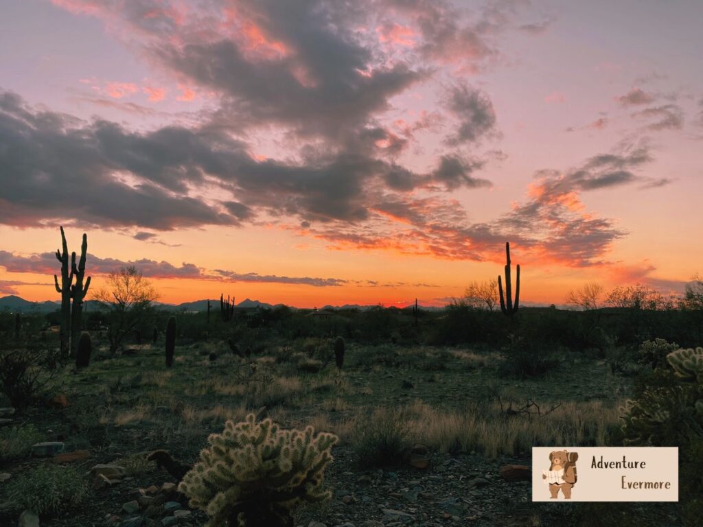 It's possible to see the Grand Canyon on a day trip but there won't be much time to explore so its best to stay overnight. 