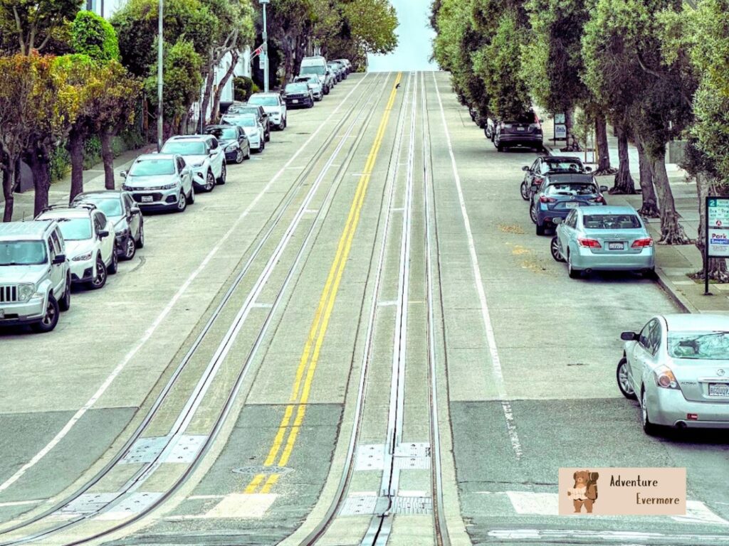 The streets in San Francisco are very steep, narrow, and sometimes confusing with all the cable cars and trolleys that drive around. 
