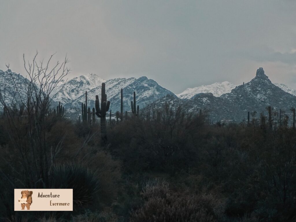 The winter and summer months aren't the best times to drive up from Phoenix to the Grand Canyon. 