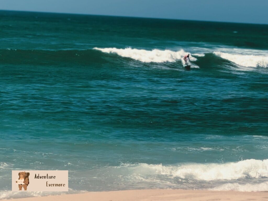 The surfing adventure with Good Trips Baja was one of the best I've ever had.