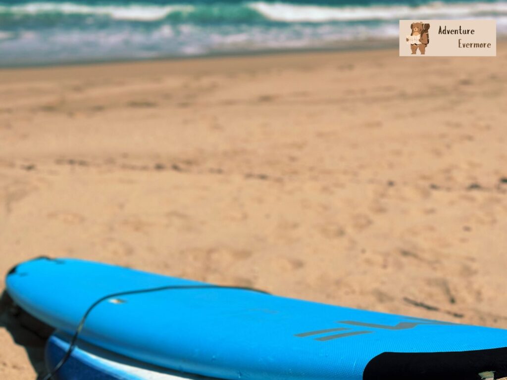 The quality of the Good Trips Baja surf expedition way outweighs any other tour company with similar options.