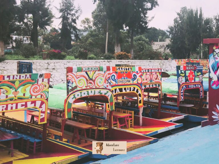 The Floating Gardens of Xochimilco are a popular tourist site in Mexico City, but there are some downsides to it.