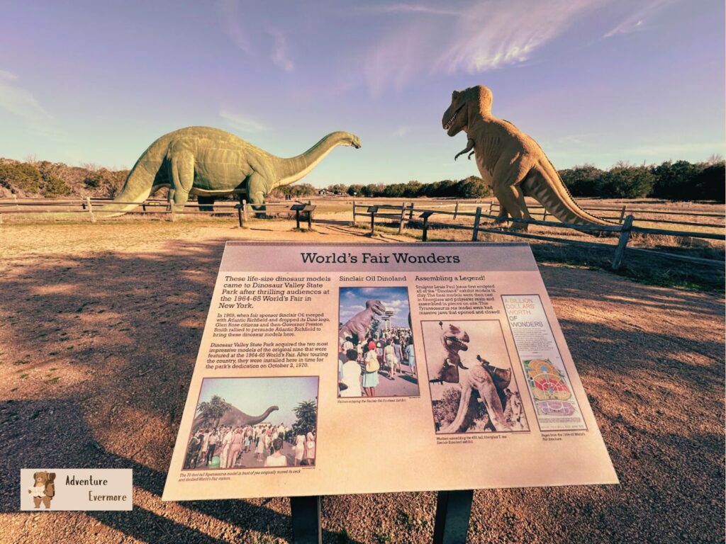 Dinosaur Valley State Park isn't that far from the Dallas area, just over an hour depending on where exactly you're coming from. 