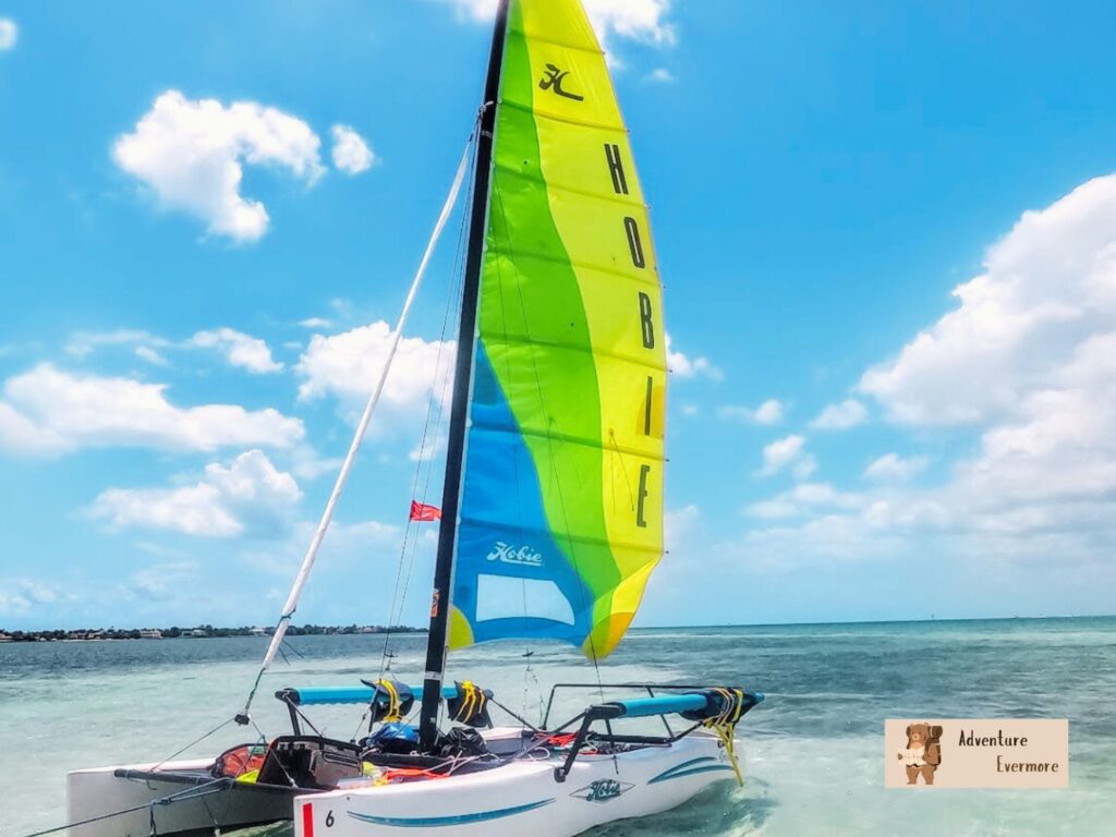 The catamaran is not very big so the tour is private or almost private. 