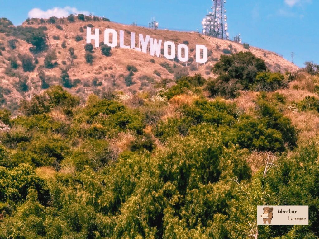 Tours are one of the easiest ways to explore this Southern California area.