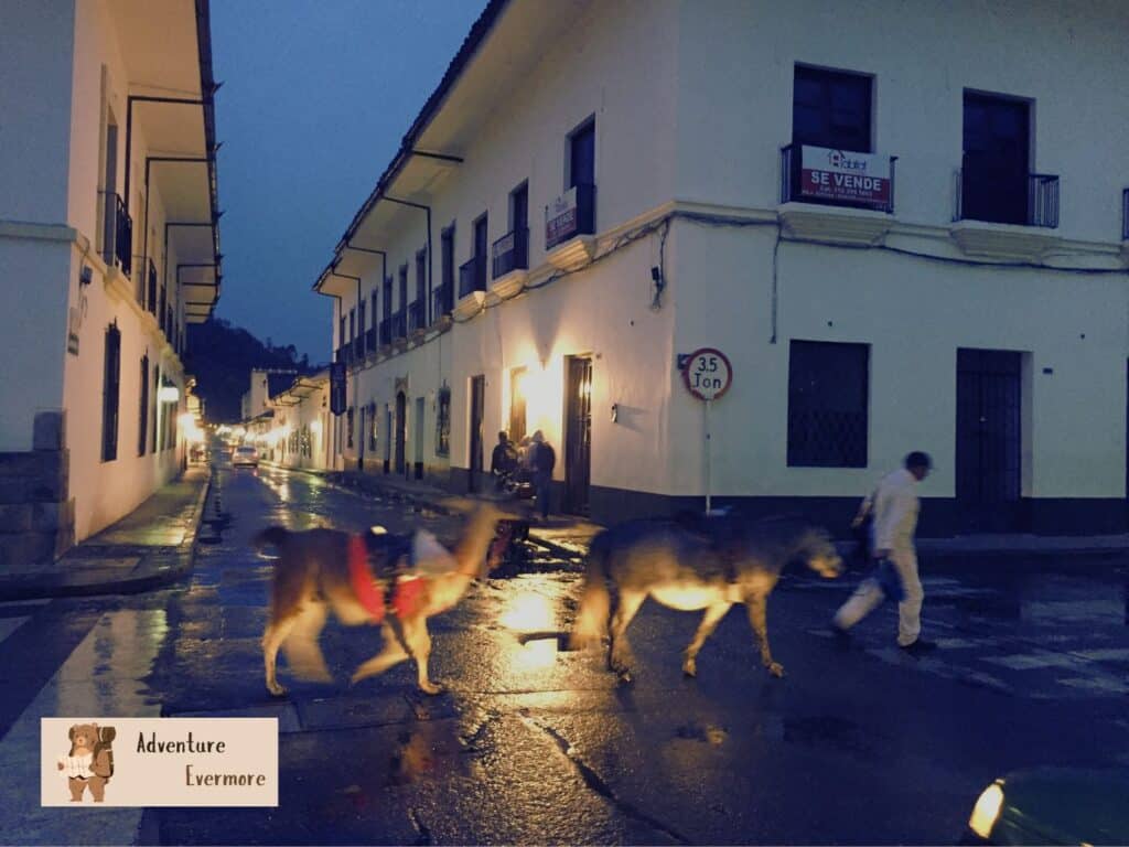 Popayan is a great city to add to your itinerary anyway. 