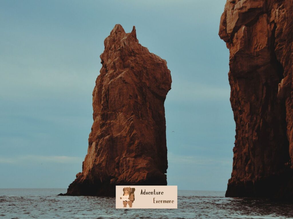 There are lots of attractions to see in the Los Cabos, Mexico area.