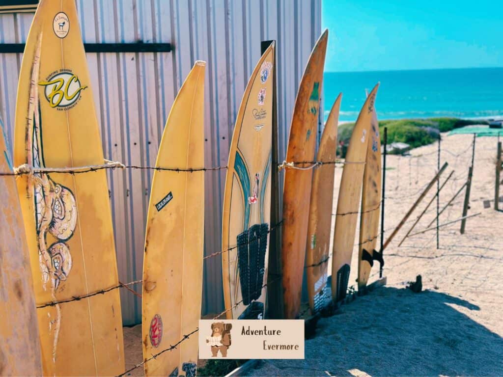 Cabo is typically a great place to surf in Mexico, but I do suggest doing a lesson/tour.