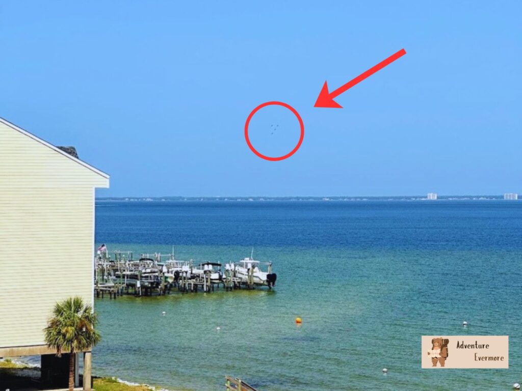 You can't even see them from a lot of places in Pensacola.