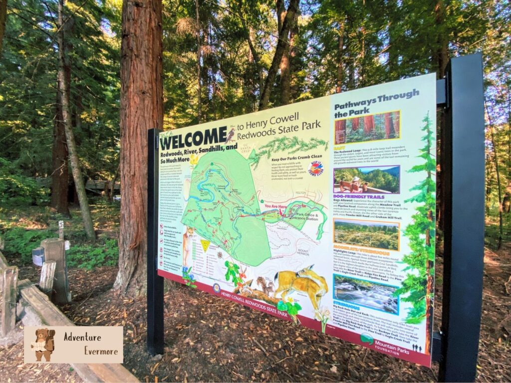 The Henry Cowell Redwoods park is the most near to Santa Cruz, Ca. 