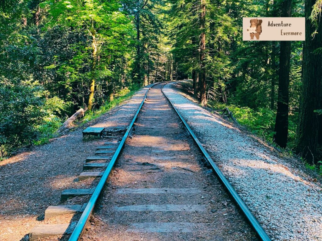 I think the other trail is better for typical redwoods, but the ox trail is still cool and is also very near to Santa Cruz, Ca. 