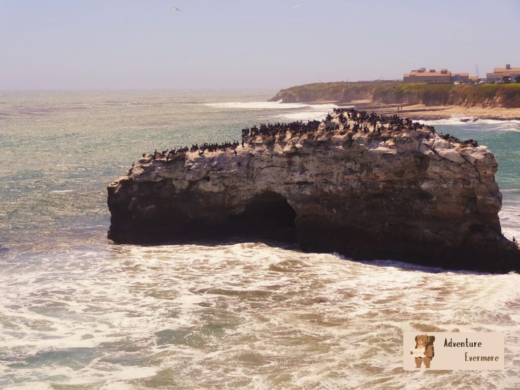 It's stinky but a famous place to take a photo in Santa Cruz. 