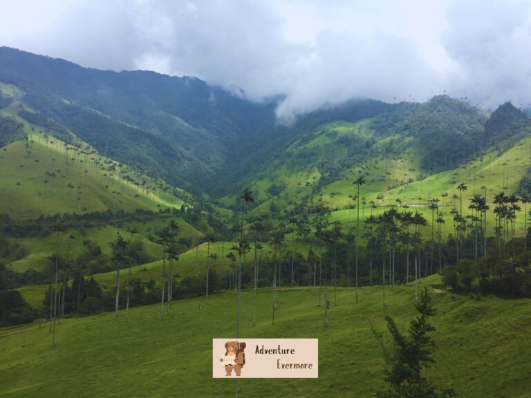 The Cocora Valley in Salento, Colombia is one of the most beautiful places in the entire country.