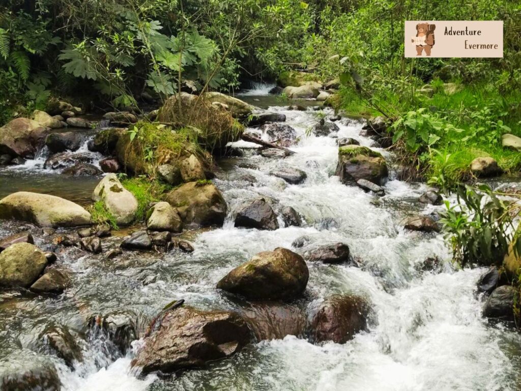 There are two main hot springs you can visit in Santa Rosa de Cabal. 