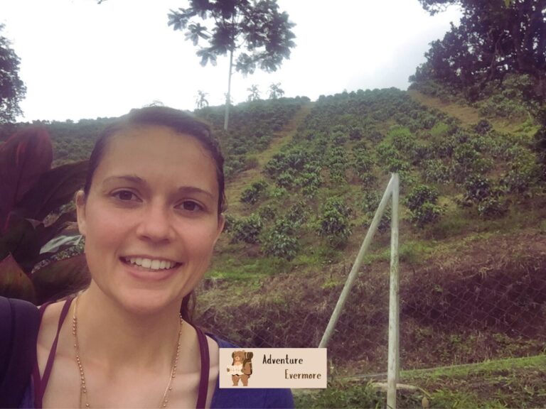 The best place to go on a coffee tour is in the Coffee Region of Colombia.