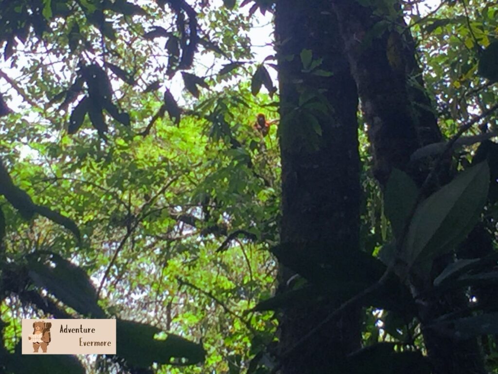 Pereira, Colombia is worth visiting just to see the surrounding nature. 