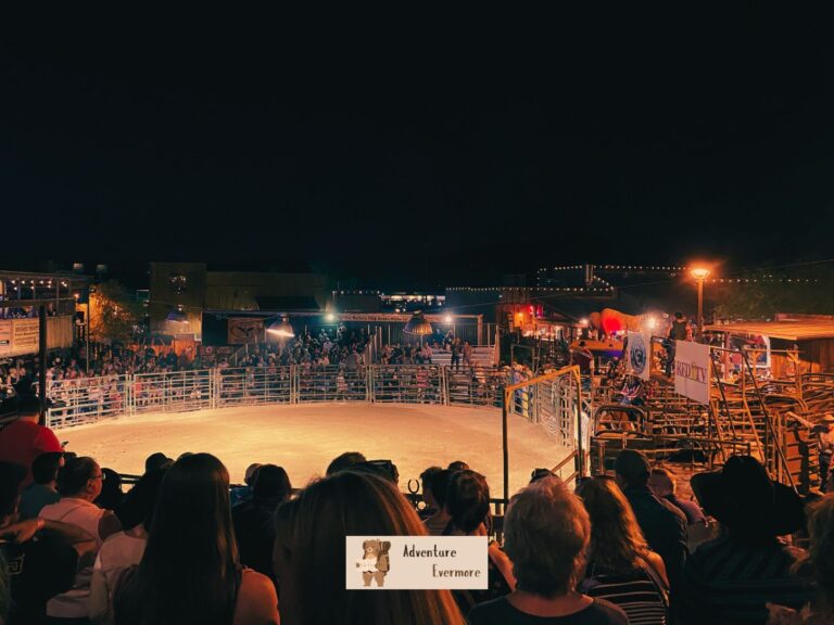 There isn't a full regular rodeo in Cave Creek, Arizona, but there is regular bull riding.
