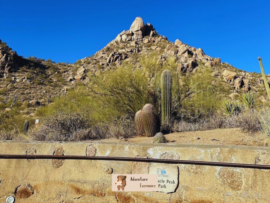 Here is everything to know about the Pinnacle Peak hiking trail in Scottsdale, Az.