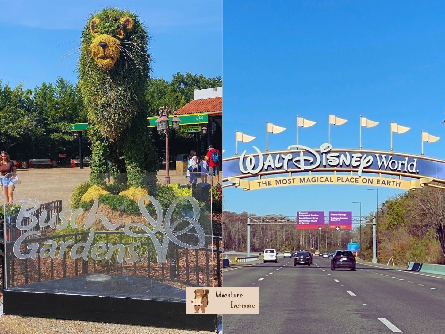 Trying to decide between visiting Disney World in Orlando or Busch Gardens in Tampa?