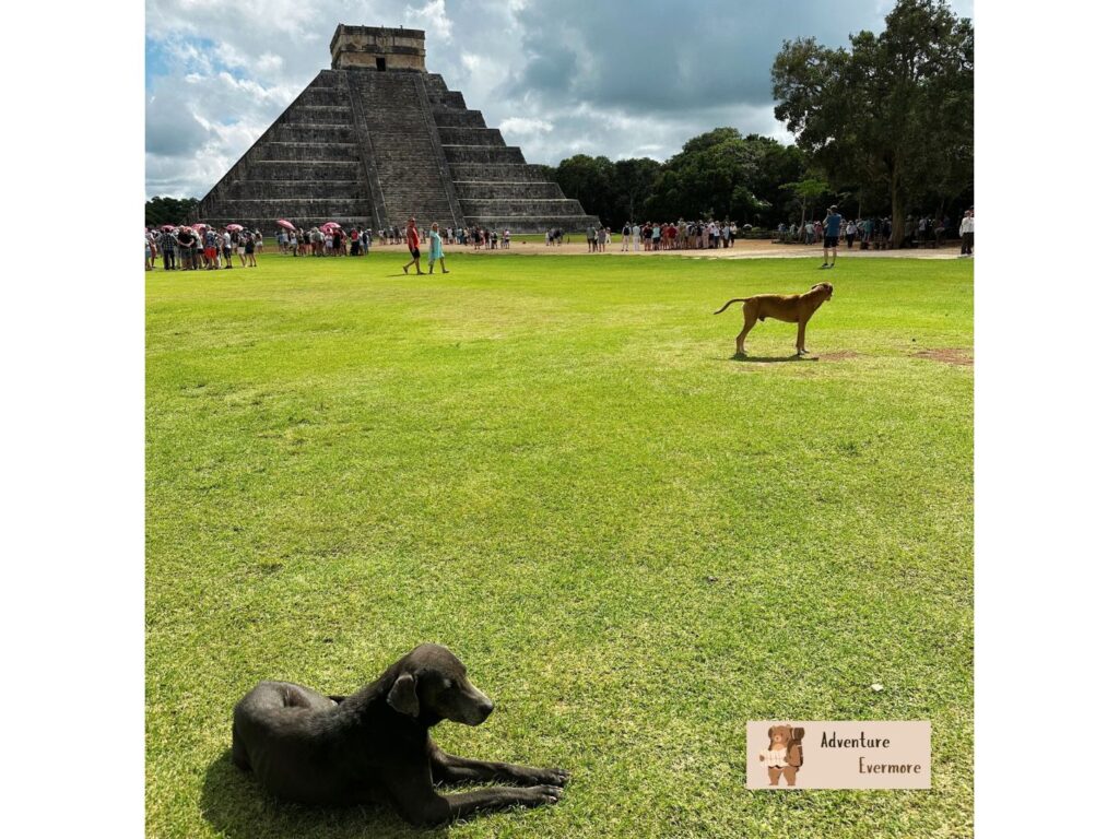 Chichen Itza is even more worth it when you go as early as possible. 