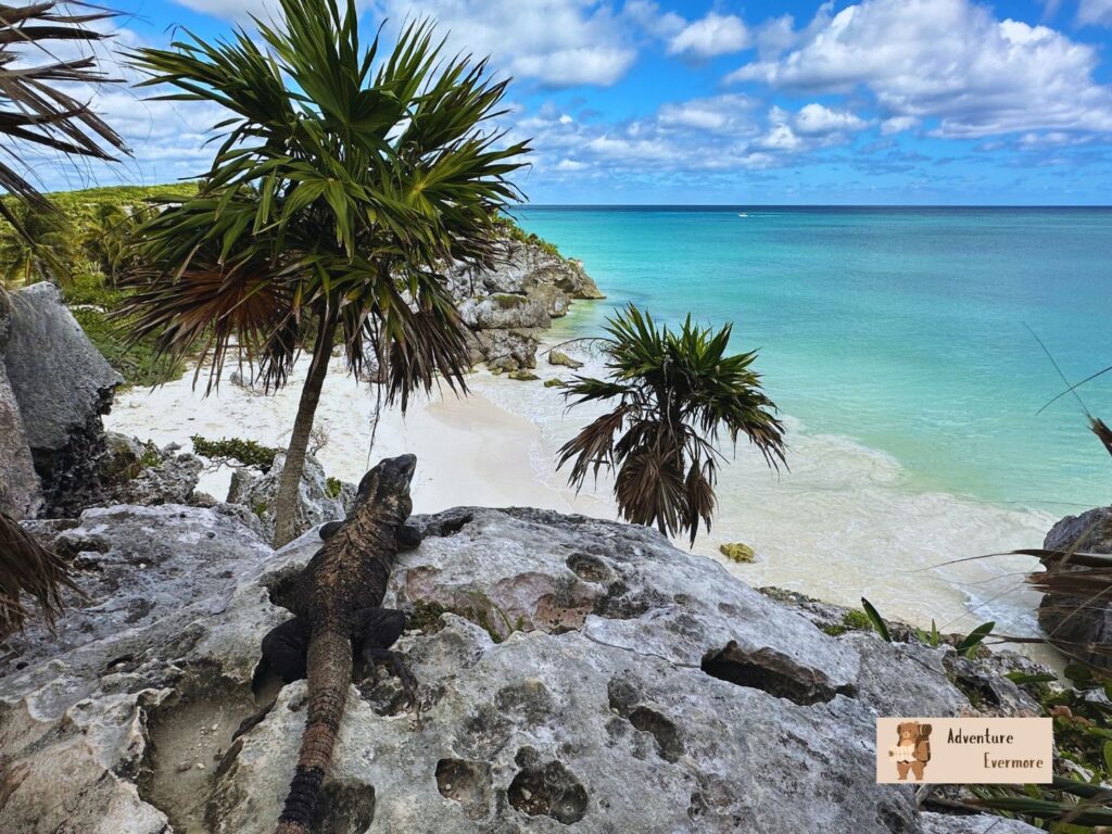 I'm not a huge fan of Cancun, so I think it is definitely worth going over to Tulum, Mexico to check it out. 