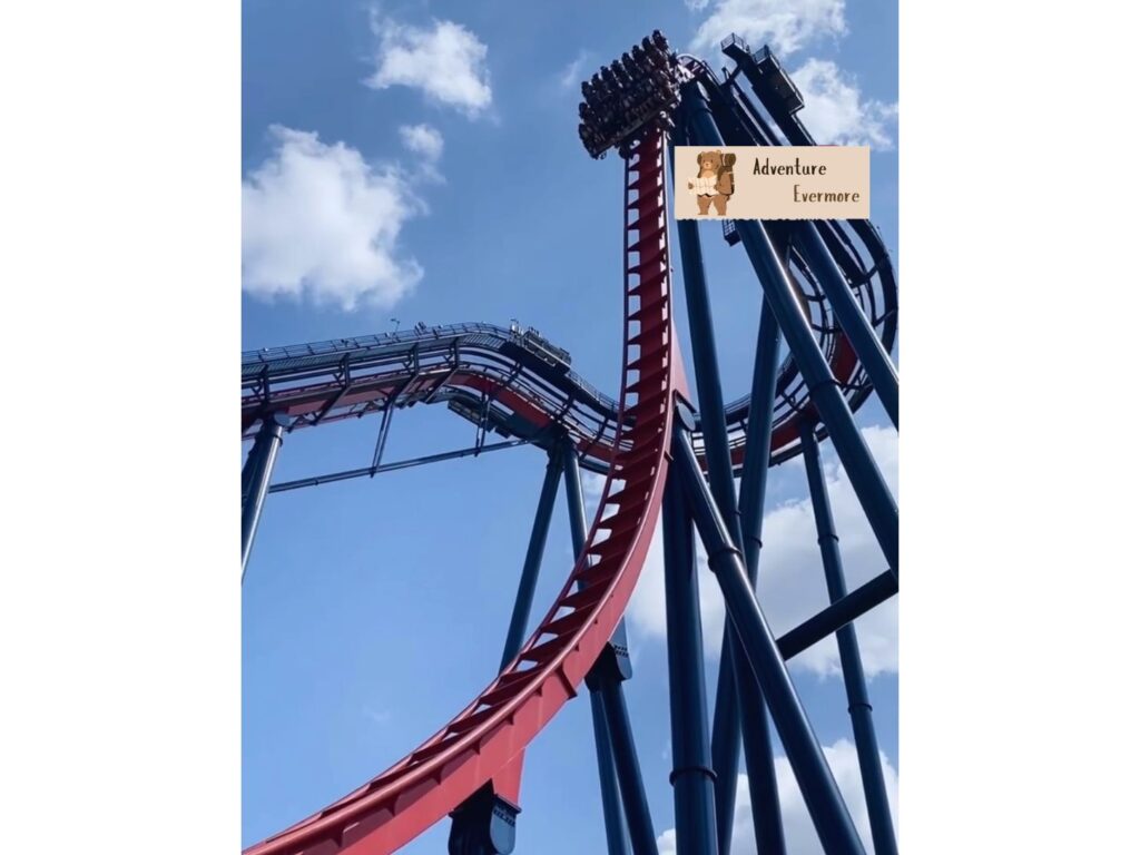 You may want to visit Busch Gardens vs Tampa Zoo to ride some rides. 