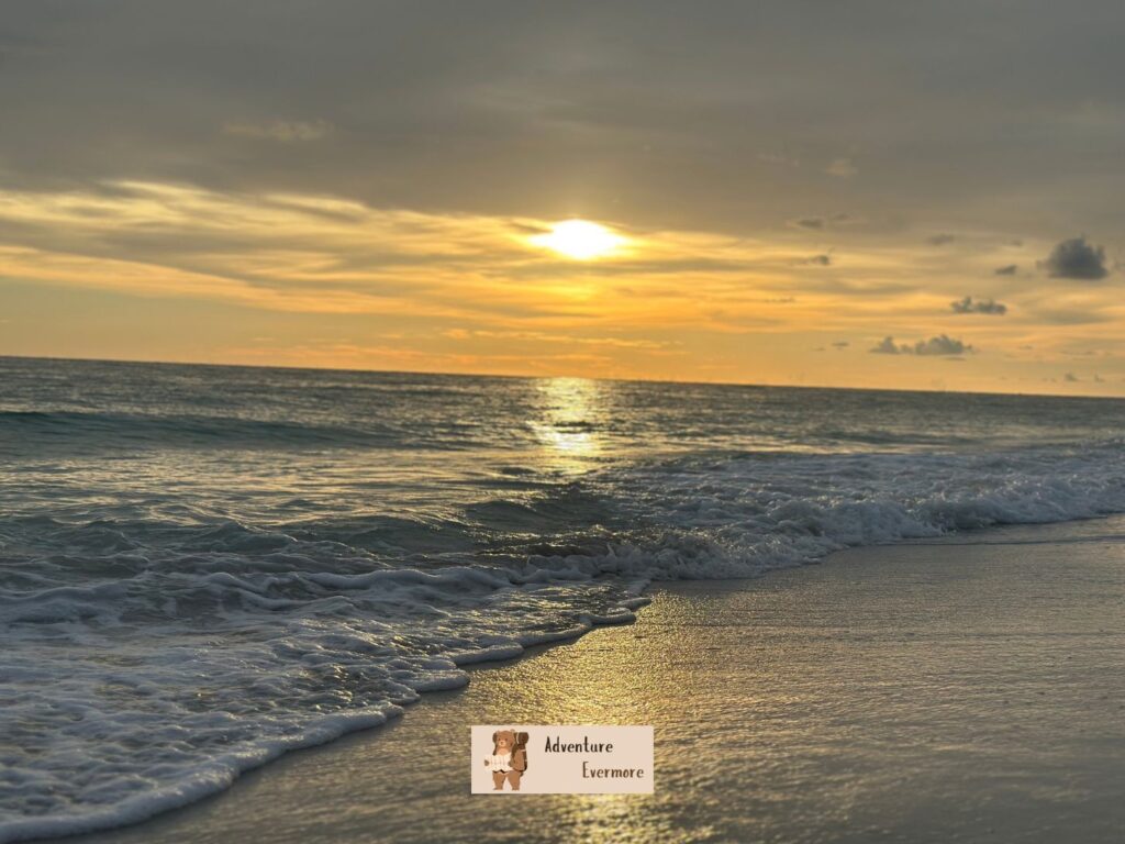 Anna Maria Island has the best and prettiest beach in my opinion near to the Tampa, Florida area.