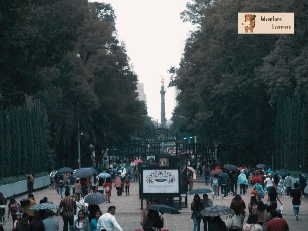 Parts of Mexico City are walkable but you can't walk everywhere and it wouldn't always be the best way to safely get around. 