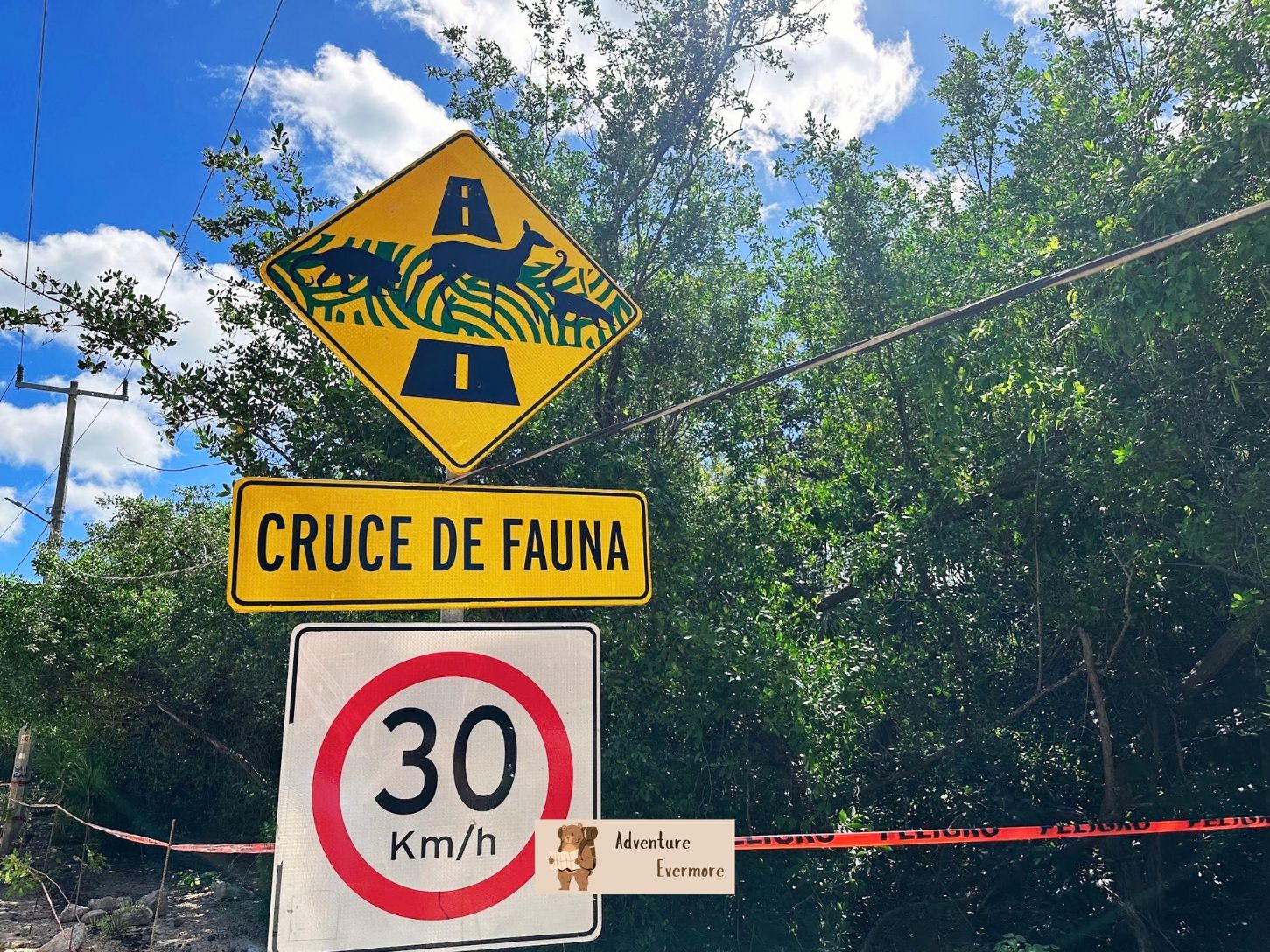 How to get an around Tulum, Mexico, all the options.